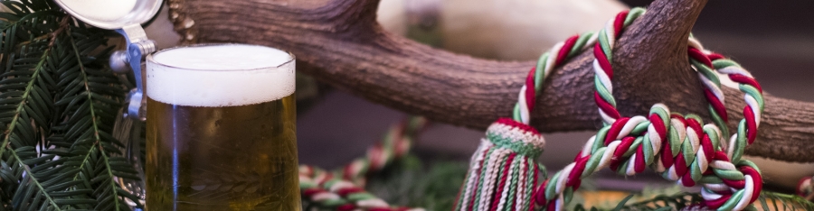 Wildfrass ex! - Bild